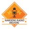 Narodni Radio Milwaukee