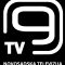 Kanal 9 Novi Sad