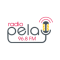 RTV Pela Prilep